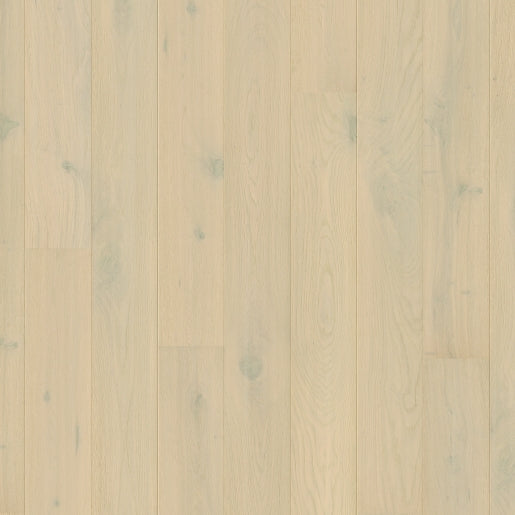 Quickstep | Amato Wintery Forest Oak