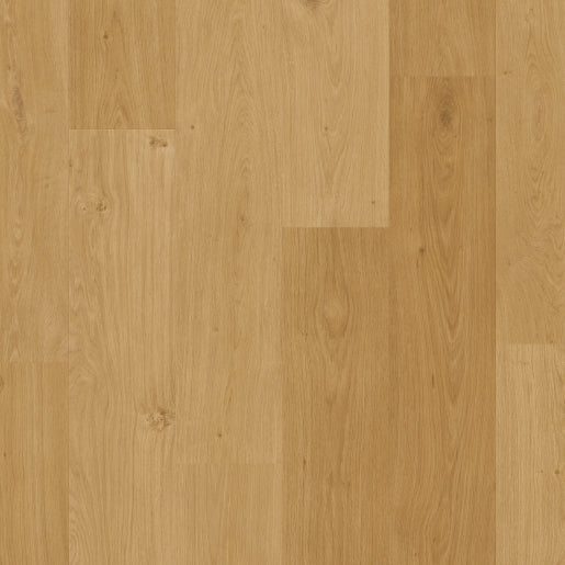 Quickstep | Blos Base Coast Oak Honey