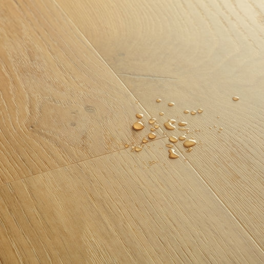 Quickstep | Blos Base Coast Oak Honey