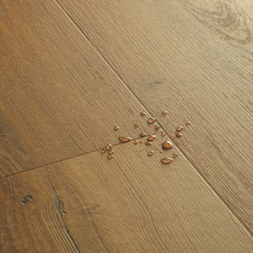 Quickstep | Bloom Botanic Caramel Oak