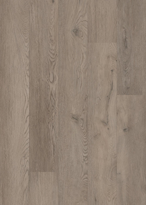 Coretec XL-END Belvoir plank