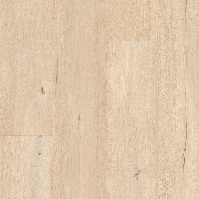 Floorify Parmesan XL Plank