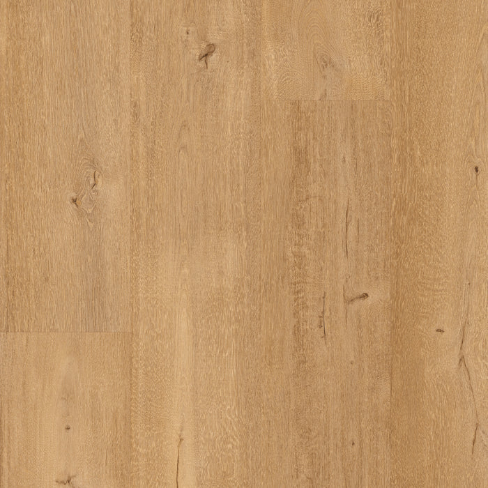Floorify Frangipane XL Plank