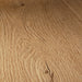 Floorify Frangipane XL Plank