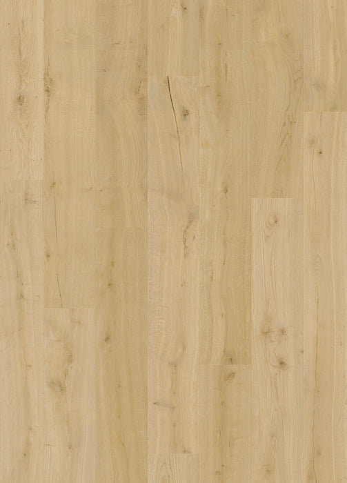 Quickstep | Impressive Cotton Oak