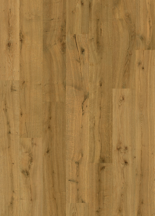 Quickstep | Impressive Truffle Oak