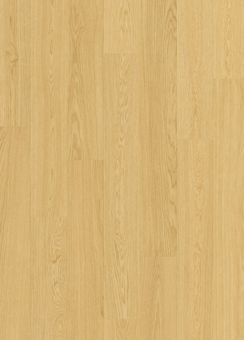 Quickstep | Impressive Dune Oak