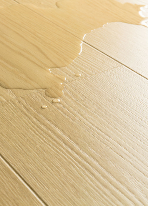 Quickstep | Impressive Dune Oak