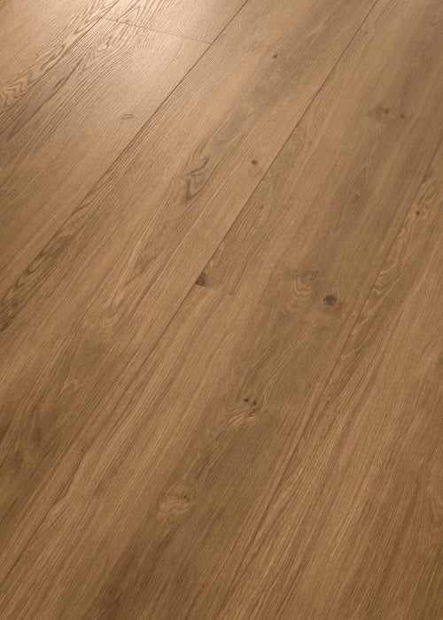 Coretec XL-END Saumur angled view