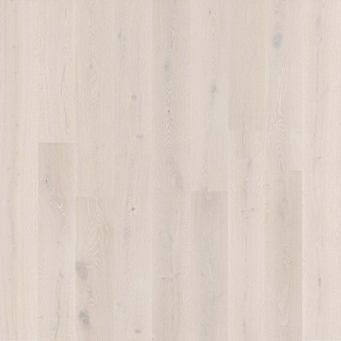 Karta | Recycled Leather Series | Saxton Wide Plank