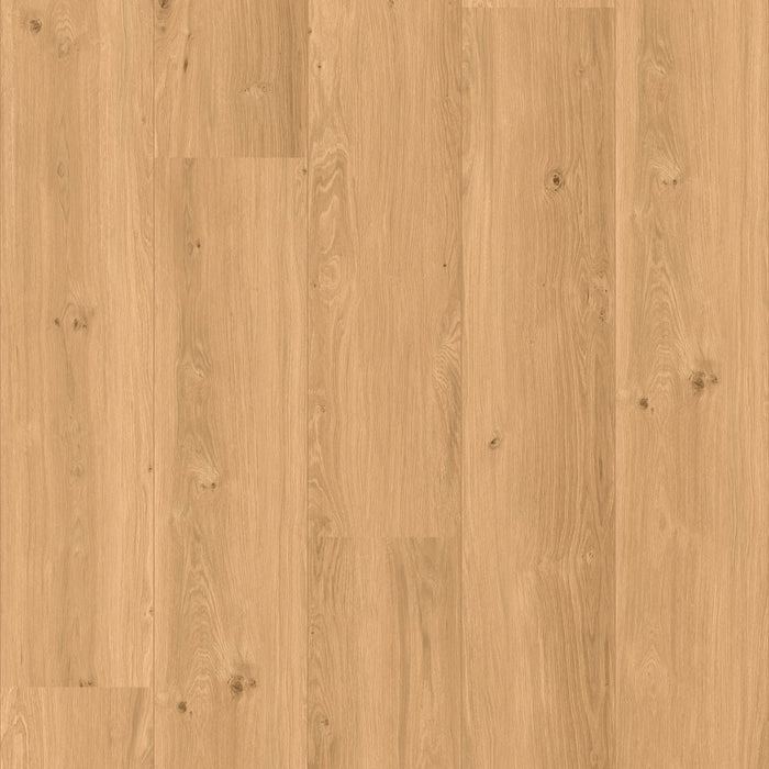 COREtec | XL-END Chambord