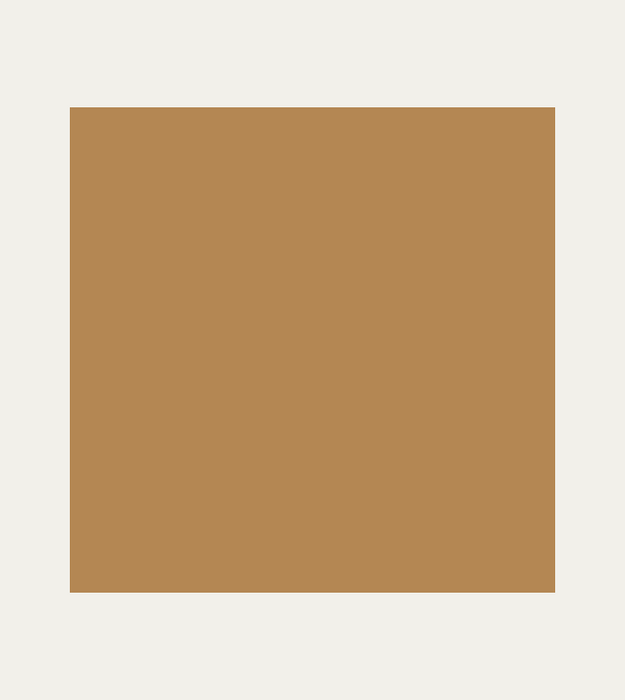 Bona Gap Master 310ml