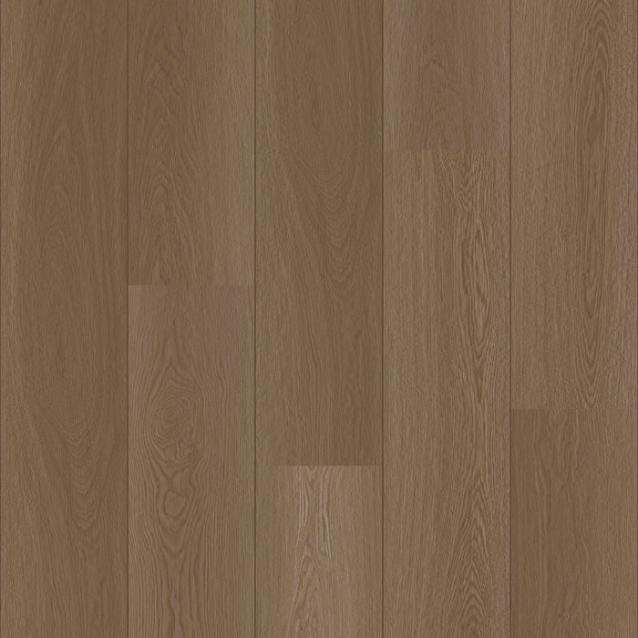 Coretec Authentics Sydney plank flooring colour and grain swatch
