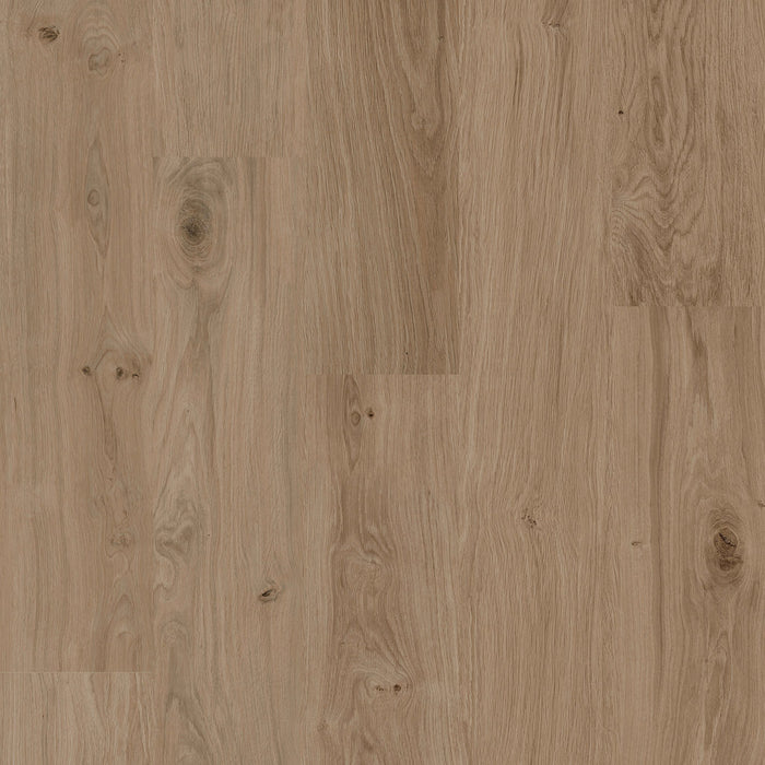 Coretec Authentics Richmond plank flooring colour and grain swatch