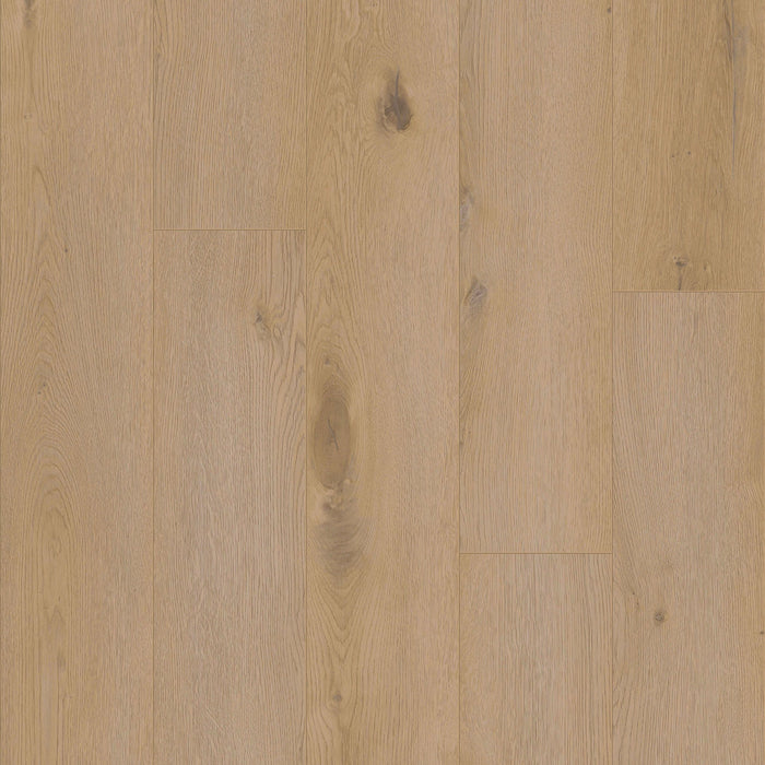Coretec Authentics Champlain plank flooring colour and grain swatch