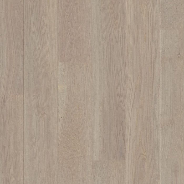 Quickstep | Palazzo Frosted Oak