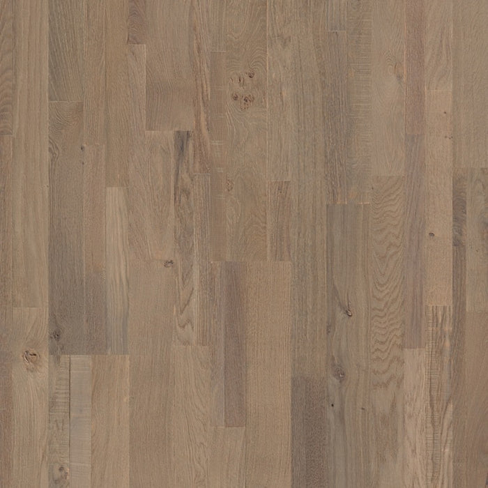 Quickstep | Variano Royal Grey Oak