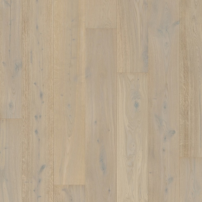 Quickstep | Massimo White Daisy Oak