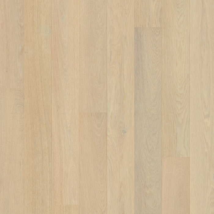 Quickstep | Compact Lily White Oak