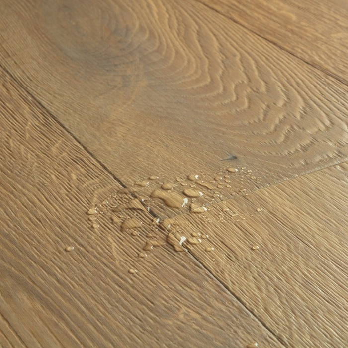 Quickstep | Cascada Mustard Oak