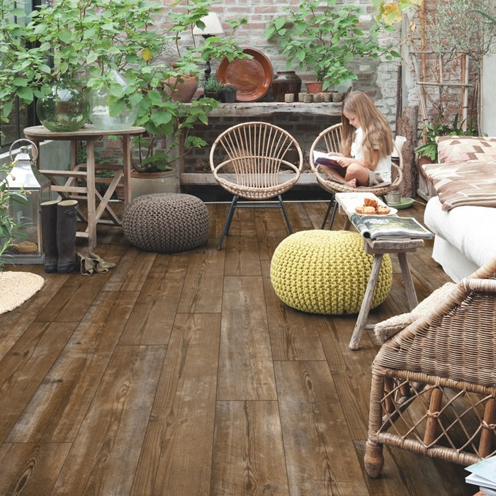 Quickstep | Bloom Sundown Pine