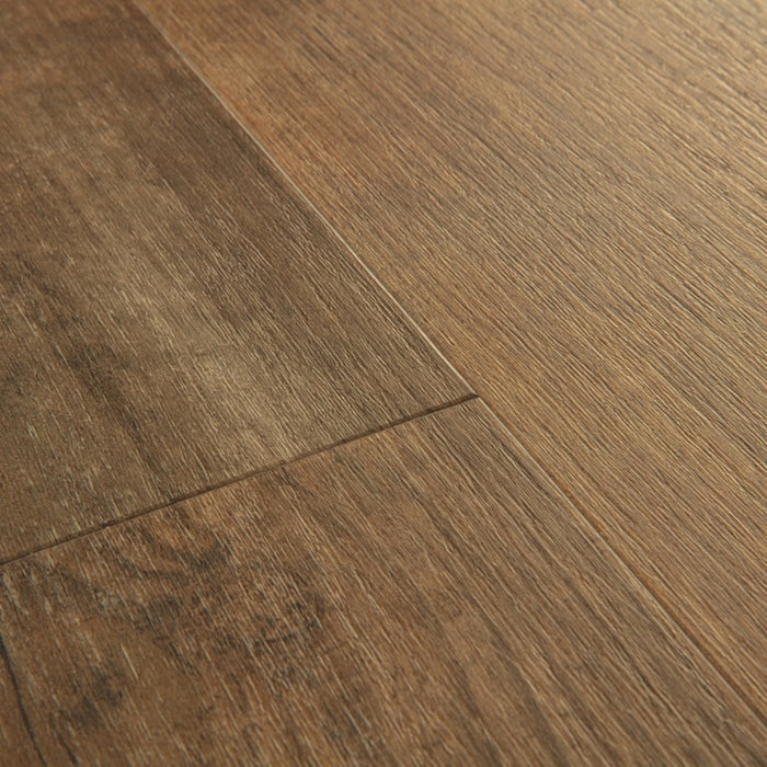 Quickstep | Bloom Sundown Pine