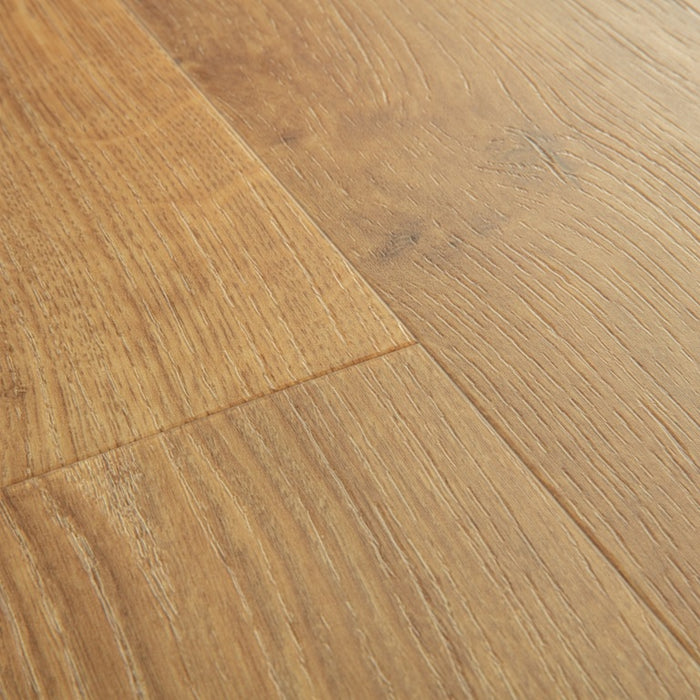 Quickstep | Bloom Autumn Oak Honey