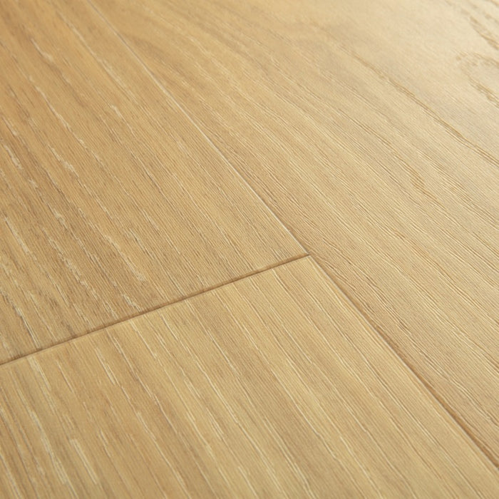 Quickstep | Bloom Pure Oak Honey