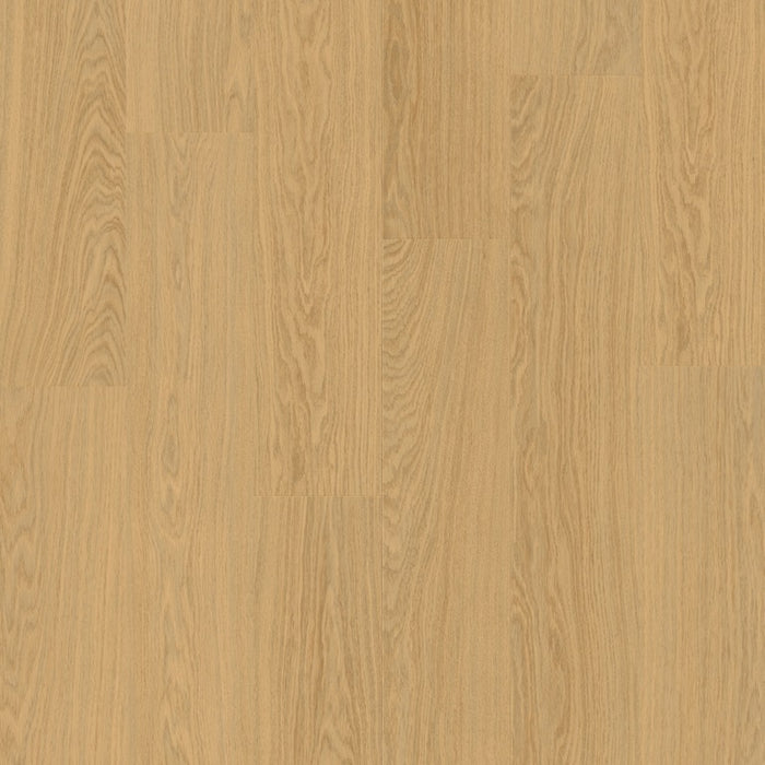 Quickstep | Bloom Pure Oak Honey