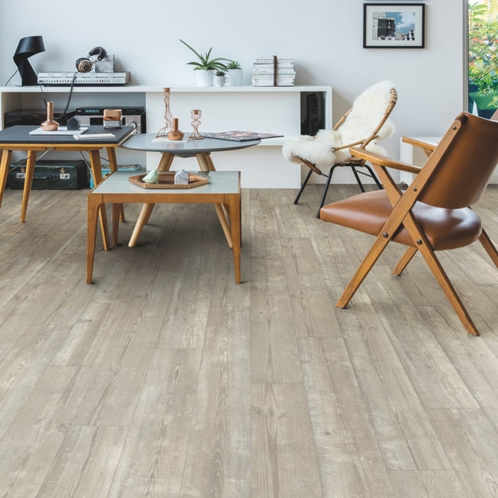 Quickstep | Bloom Morning Mist Pine