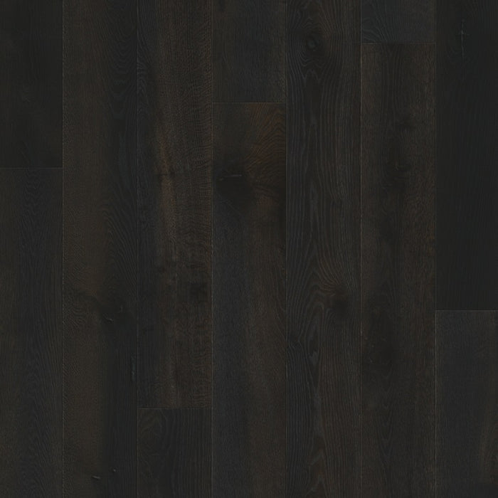 Quickstep | Palazzo Midnight Oak