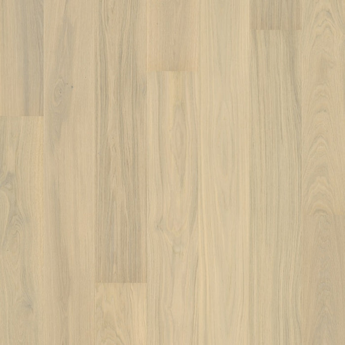 Quickstep | Palazzo Lily White Oak