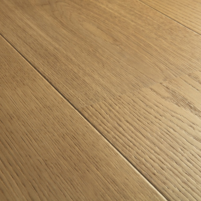 Quickstep | Palazzo Gingerbread Oak