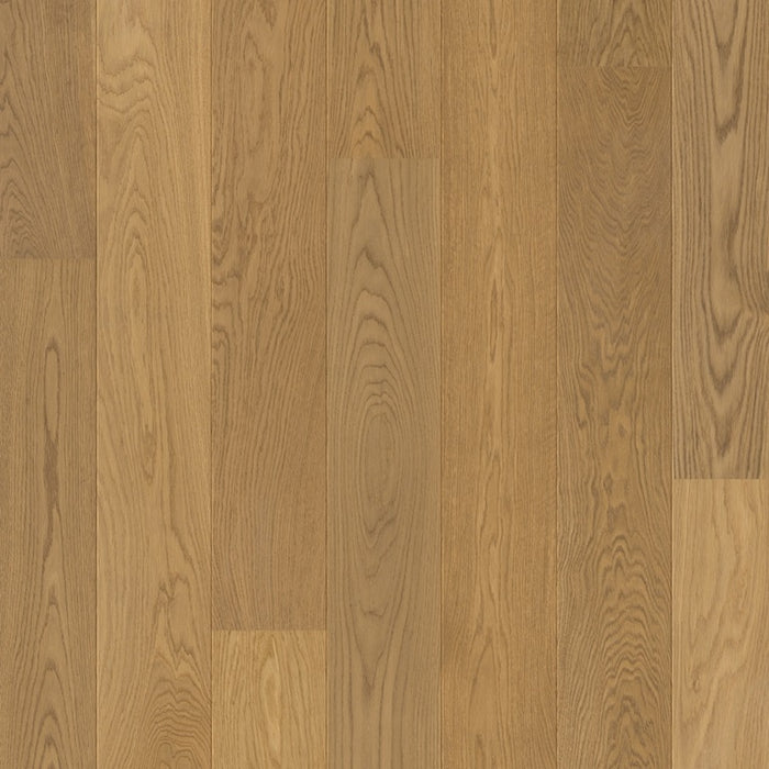 Quickstep | Palazzo Gingerbread Oak