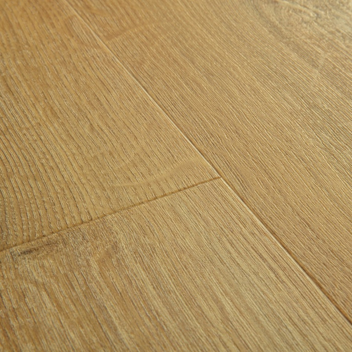 Quickstep | Bloom Botanic Smoked Oak