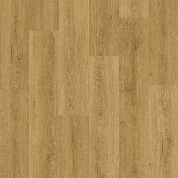 Quickstep | Bloom Botanic Smoked Oak