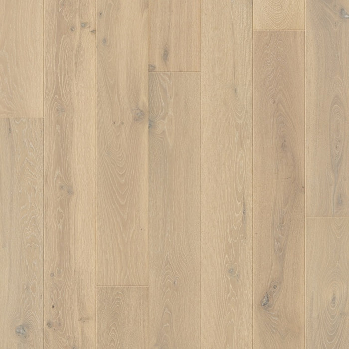 Quickstep | Palazzo Lime Oak